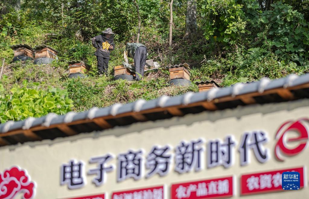 bwin网投